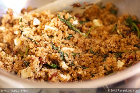 Transfer the spinach-hazelnut mixture 