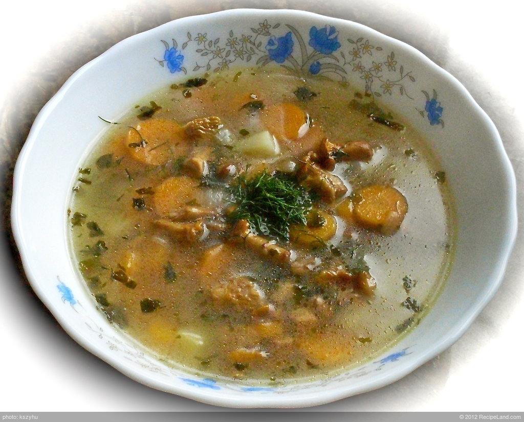 Chanterelle and Carrot Soup
