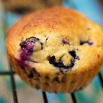 Moist Blueberry Coffee Cake Muffins