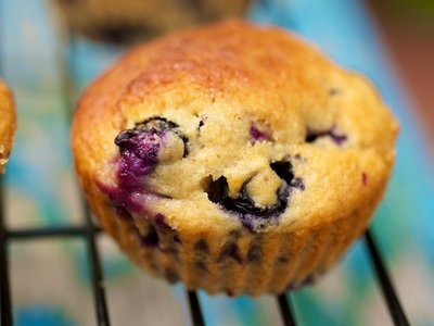 Moist Blueberry Coffee Cake Muffins