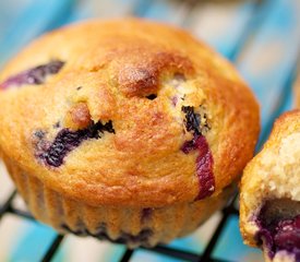 Moist Blueberry Coffee Cake Muffins (Low Fat)