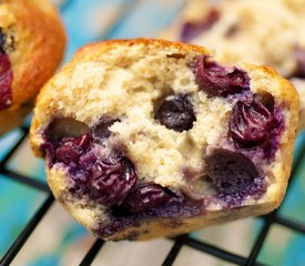 Moist Blueberry Coffee Cake Muffins (Low Fat)