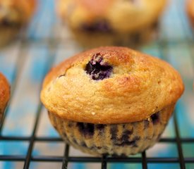 Moist Blueberry Coffee Cake Muffins (Low Fat)