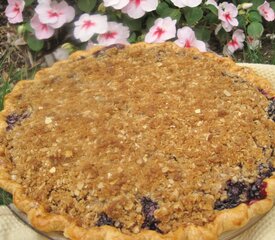 Fresh Blueberry Crumb Pie