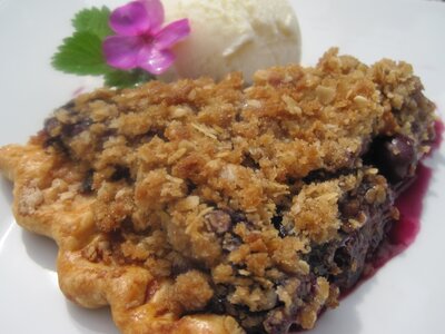 Fresh Blueberry Crumb Pie