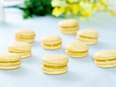 Lemon Meringue Pie Macarons