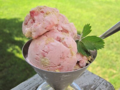 Strawberry Cheesecake Ice Cream