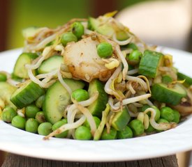 Tangy Cucumber and Mung Bean Sprout Salad