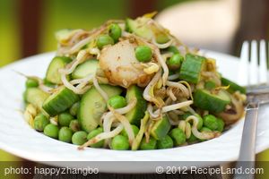 Tangy Cucumber and Mung Bean Sprout Salad recipe