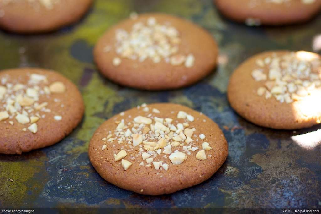 Chewy Double Peanut Butter Cookies recipe