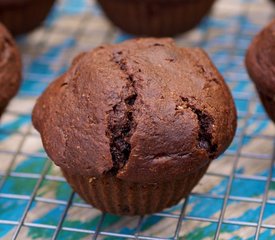 Double Chocolate Ricotta Muffins