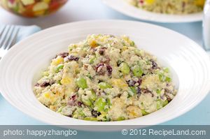 Chilled Couscous Salad with Mango recipe