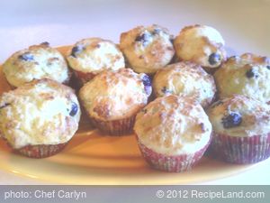 Vegan Blueberry Yogurt Muffins