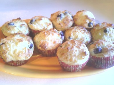 Vegan Blueberry Yogurt Muffins