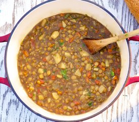 Spiced Lentil Soup