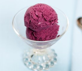 Blueberry Frozen Yogurt