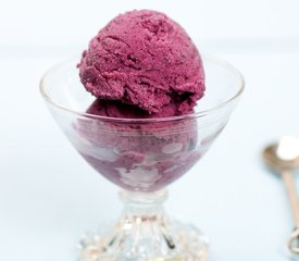 Blueberry Frozen Yogurt