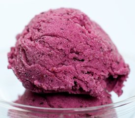 Blueberry Frozen Yogurt