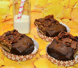 Pecan Pie Bars Dipped in Chocolate