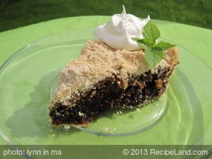 Shoofly Pie 2