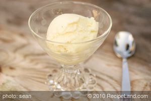 Buttermilk Custard Vanilla Frozen Yogurt