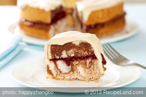 Chocolate Marbled Angel Food Cake with Coffee Cream and Raspberry Jam