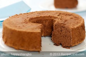 Light Chocolate Angel Food Cake recipe