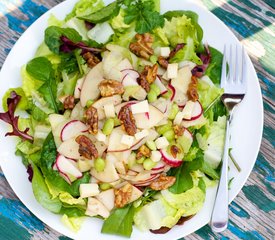 Mixed Green Salad with Apple and Smoked Cheddar