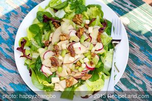 Mixed Green Salad with Apple and Smoked Cheddar