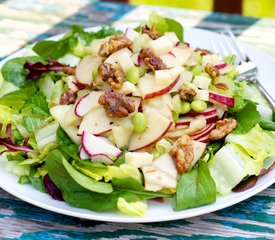 Mixed Green Salad with Apple and Smoked Cheddar