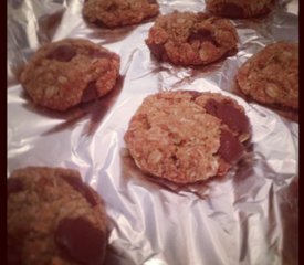 Chocolate Chip and Coconut Oatmeal Lactation Cookies