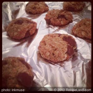 Chocolate Chip and Coconut Oatmeal Lactation Cookies