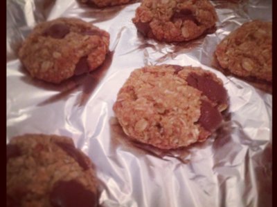 Chocolate Chip and Coconut Oatmeal Lactation Cookies