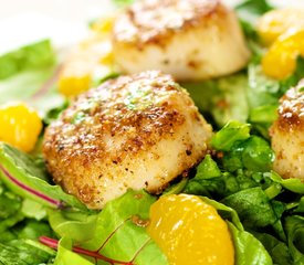 Coriander Spiced Scallops with Orange Ginger Dressing and Greens