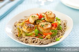 Pan Seared Scallops and Fennel Over Soba Noodles