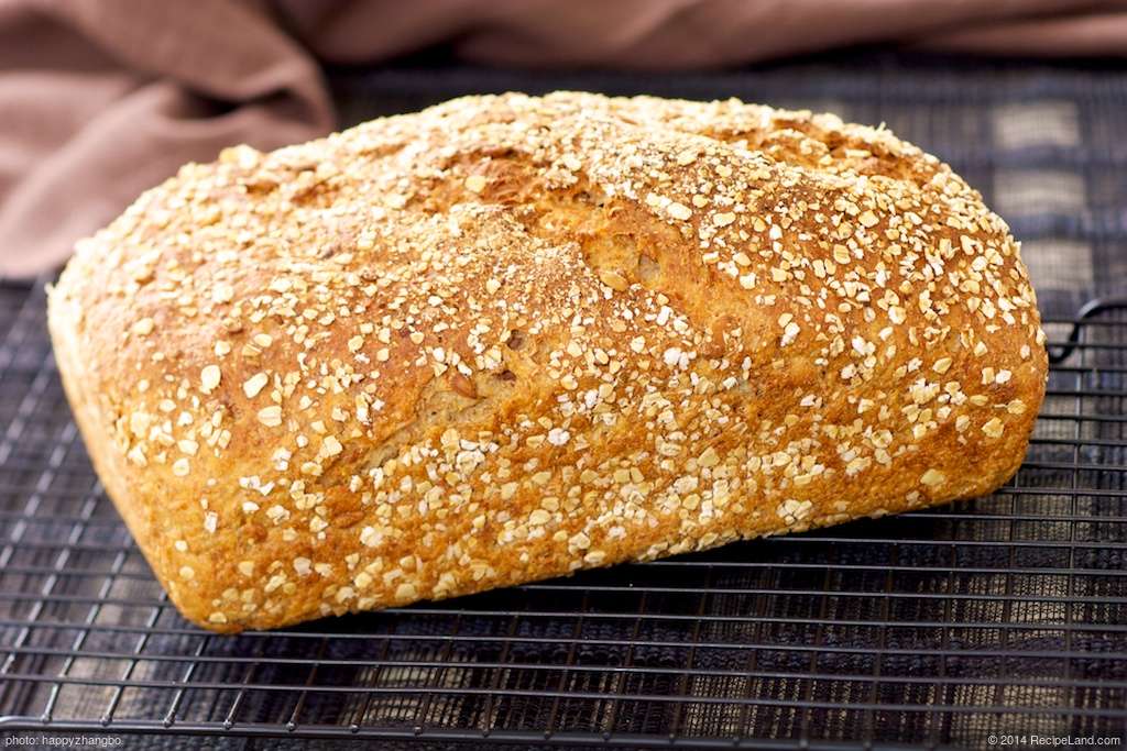 100% Whole Wheat Bread recipe