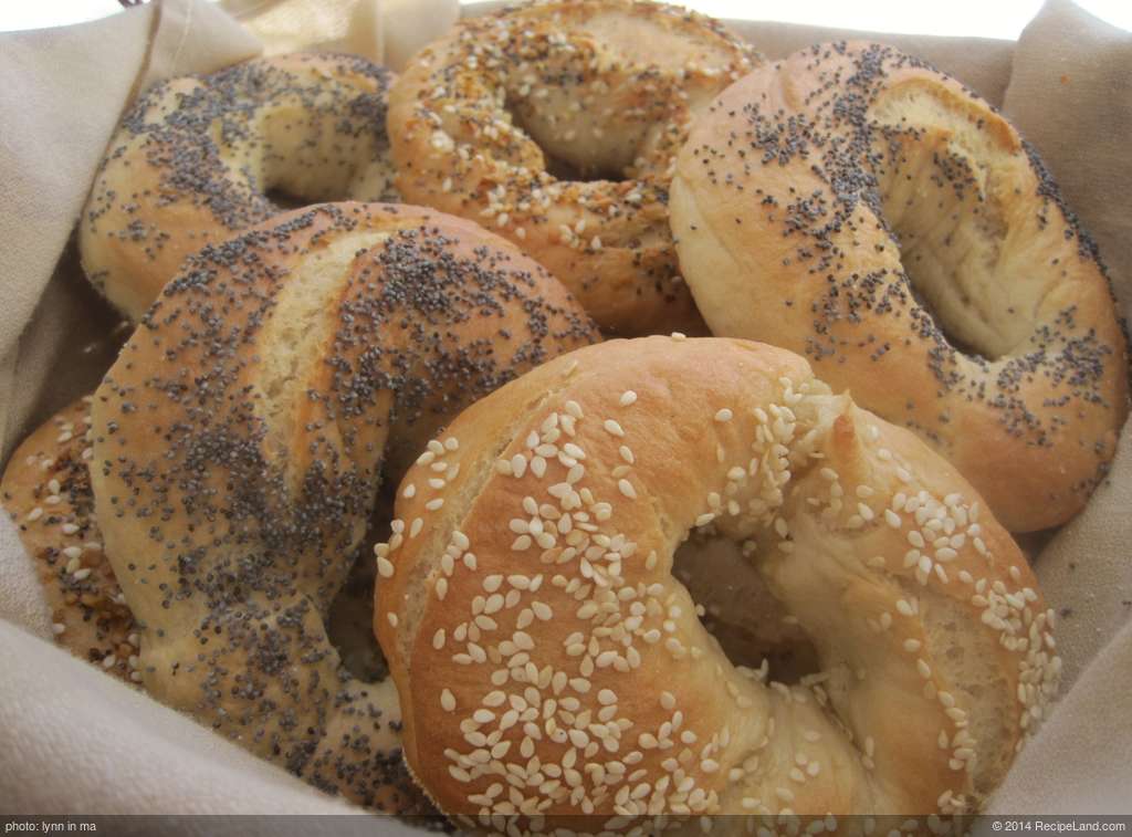 Montreal-Style Bagels recipe