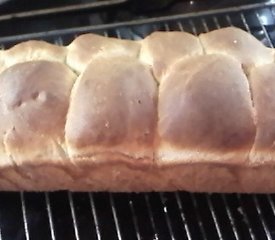 Brioche type Bread