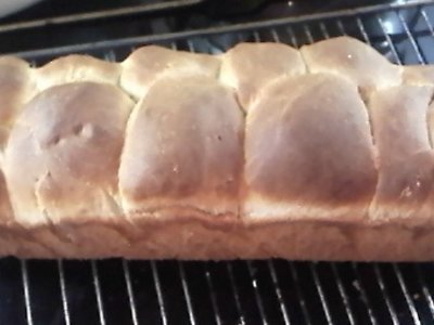 Brioche type Bread