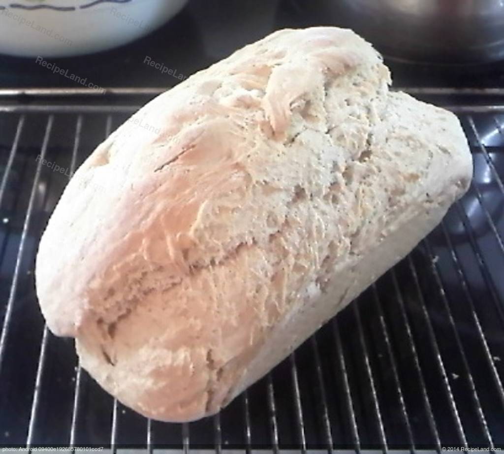 Beer Bread without yeast