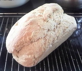 Beer Bread without yeast