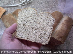 Bread for Toast recipe