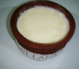 Homemade Clay Pot Curd