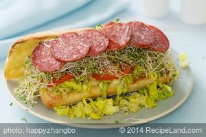 The Mr. Turkey Sandwich recipe