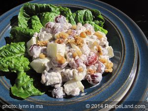 Waldorf Salad recipe