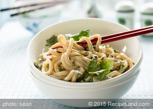 Cold and Spicy Udon Noodles recipe