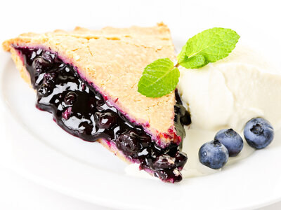 Sugar Free Blueberry Pie