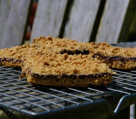 Awesome Whole Wheat Blueberry Bars