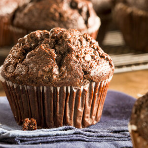 Choc--Double Chocolate Muffins