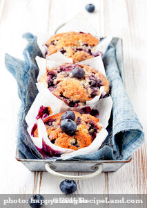 Oatmeal-Blueberry Muffins